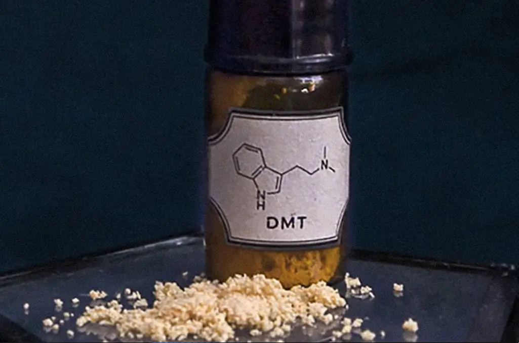 What is DMT?